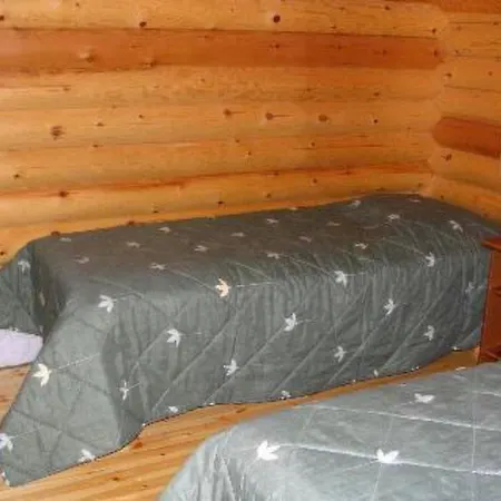 Holiday Koli, Kaakkuri Сasa de vacaciones